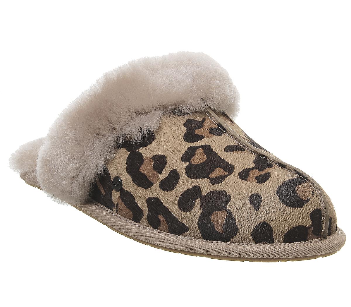 ugg scuffette leopard slippers