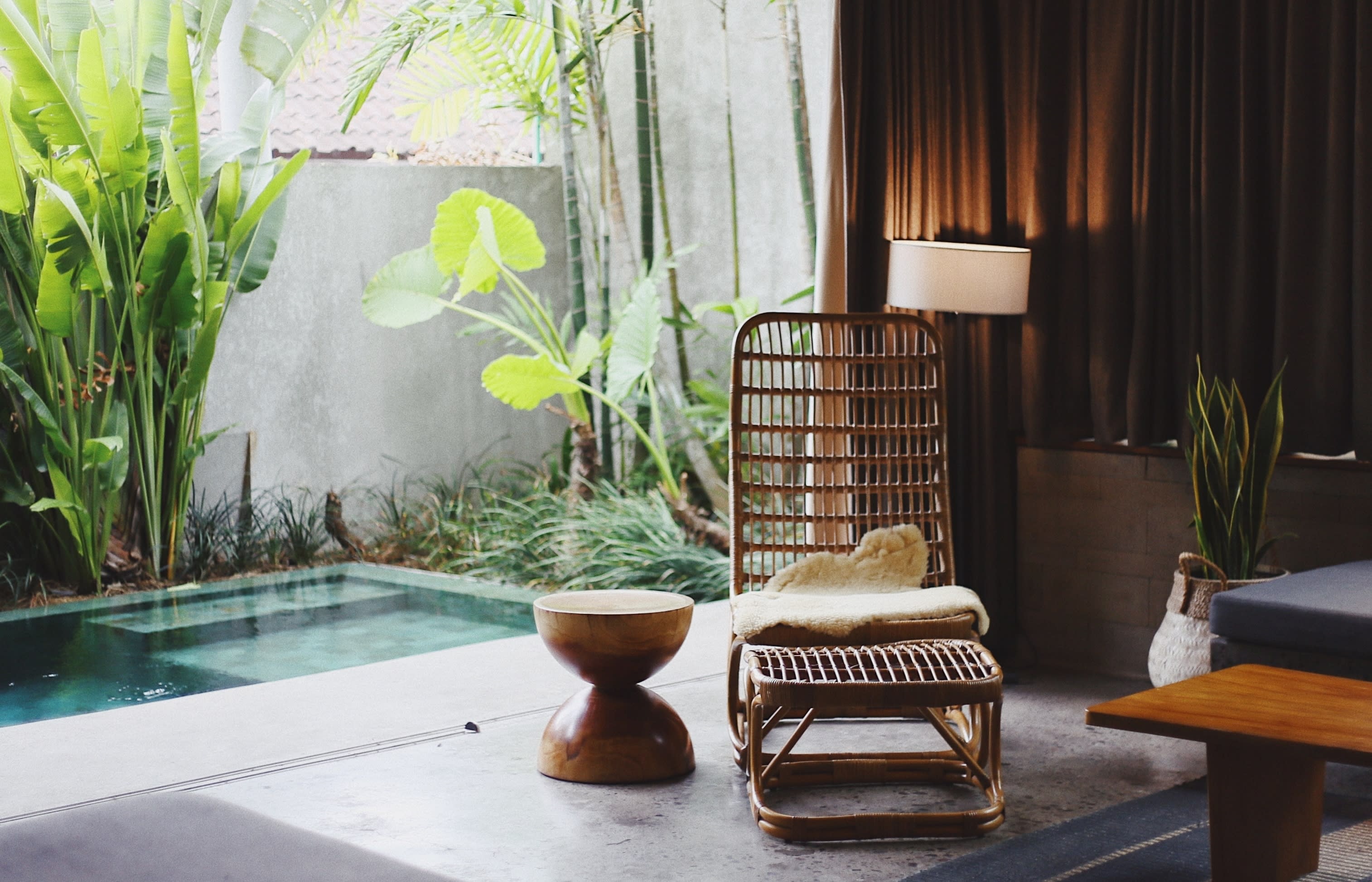 Feel At One With Nature With The Best Bamboo For Your Home Bluewater