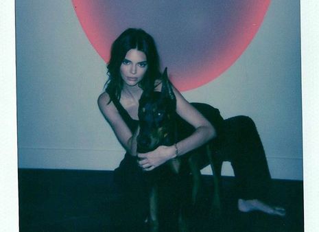 Get Kendall Jenner's Look: Black Lounge Trousers