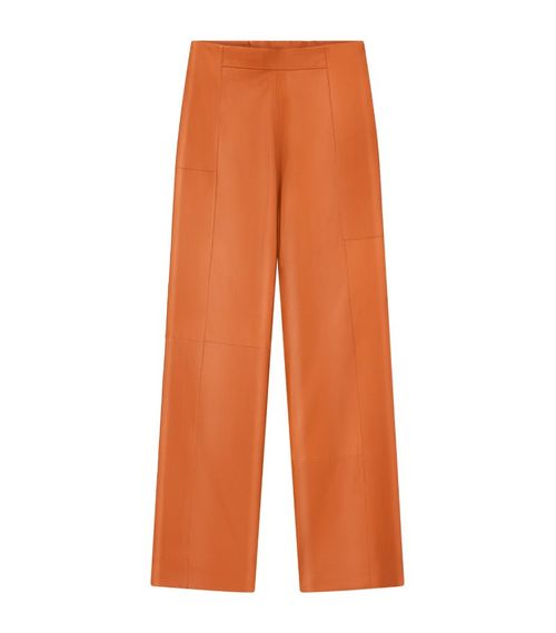 Aeron Chroma Leather Trousers