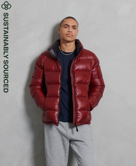 Superdry Axis Padded Jacket | Compare 