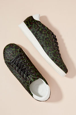 maruti leopard trainers