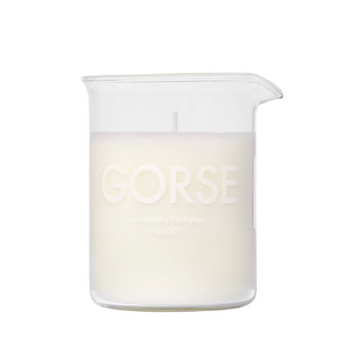 Gorse Candle