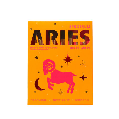 Aries 6 Piece Brush Set