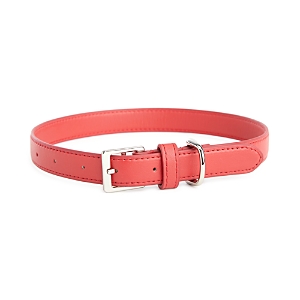 Royce New York Luxe Medium Dog Collar