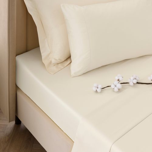 Dorma 300 Thread Count 100%...