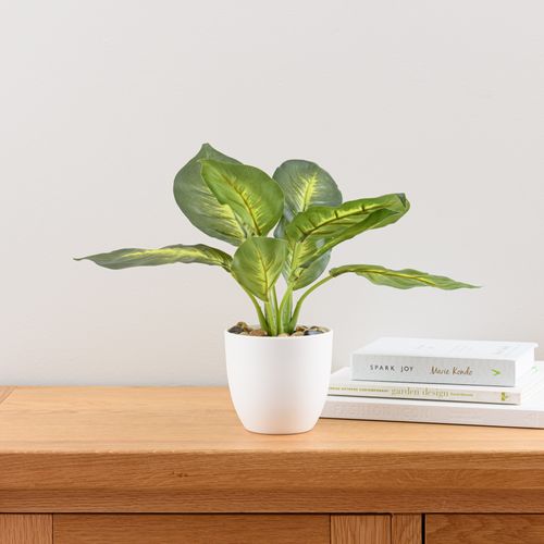 Artificial Dieffenbachia in White Pot 34cm Green/White