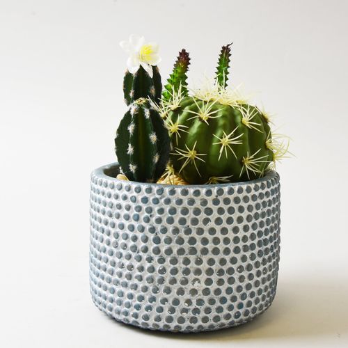 Artificial Cactus Green in...