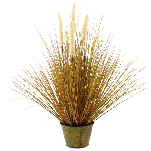 Foxtail Grass 60cm Green Green