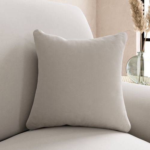 Luxury Velvet Scatter Cushion...