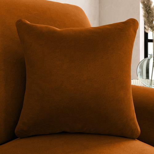 Luxury Velvet Scatter Cushion...