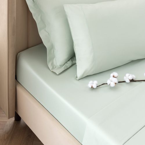 Dorma 300 Thread Count 100%...