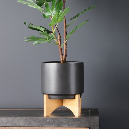 Plain Ceramic Plant Pot on...