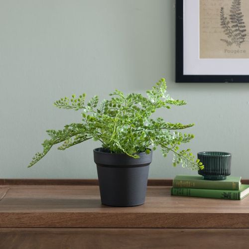 Artificial Maidenhair Fern in...