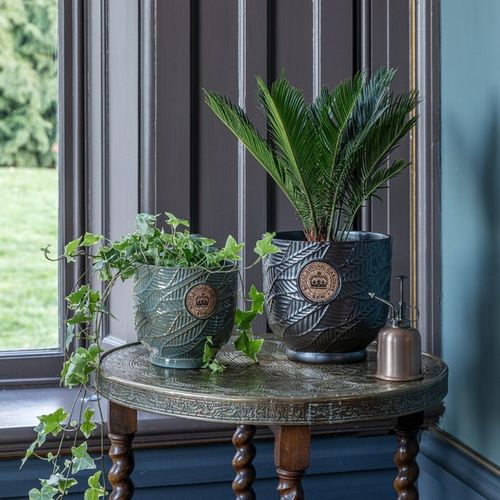Kew Leaf Embossed Cork Plant...