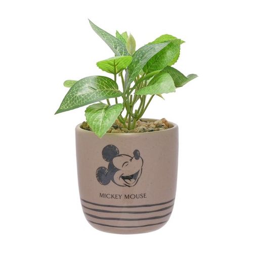Artificial Plant in Disney...