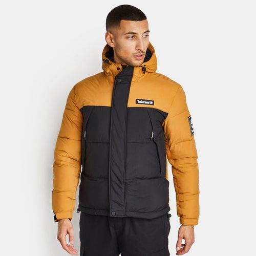 Timberland Dwr - Men Jackets