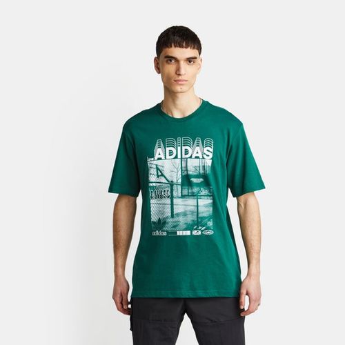 Adidas Bb Court - Men T-shirts