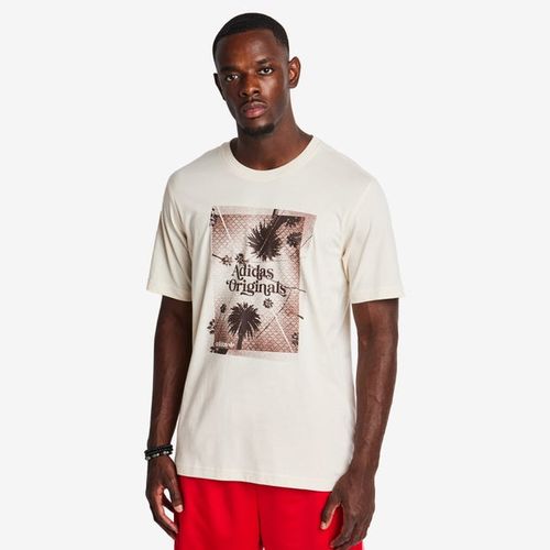 Adidas Graphics - Men T-shirts