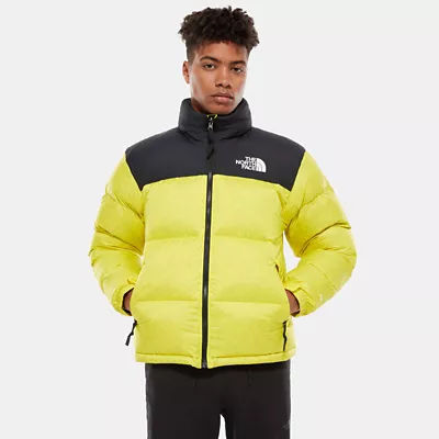 north face brent cross