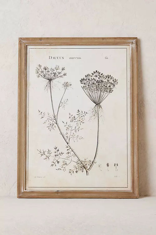 Botanical Wall Art