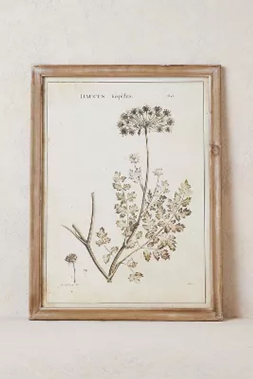 Botanical Wall Art