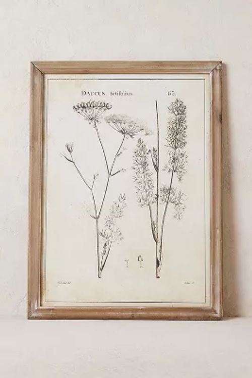 Botanical Wall Art