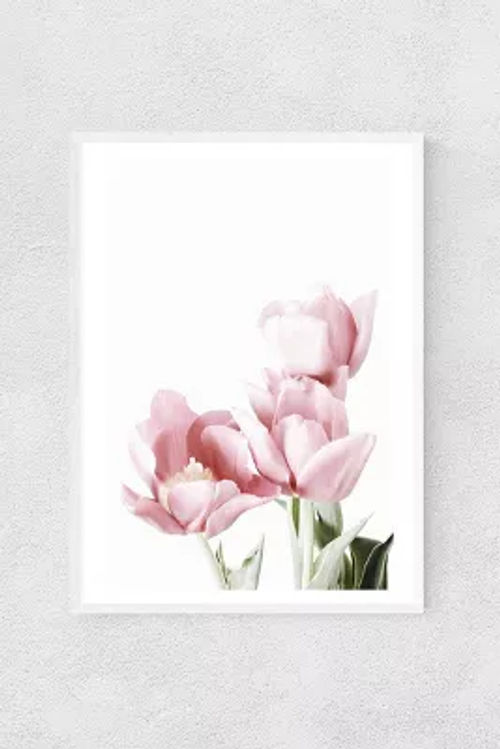 Tulips Wall Art