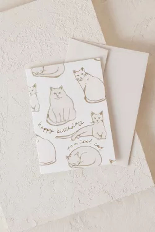 Cool Cat Birthday Card