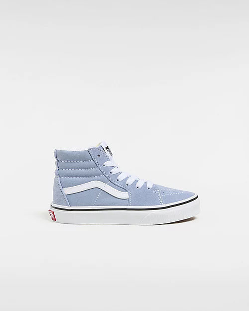 VANS Kids Color Theory Sk8-hi...