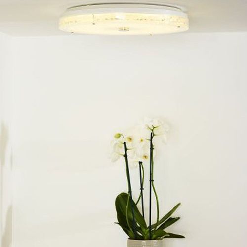 LED Deckenleuchte Vivi in...