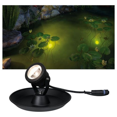 Plug & Shine Underwater...
