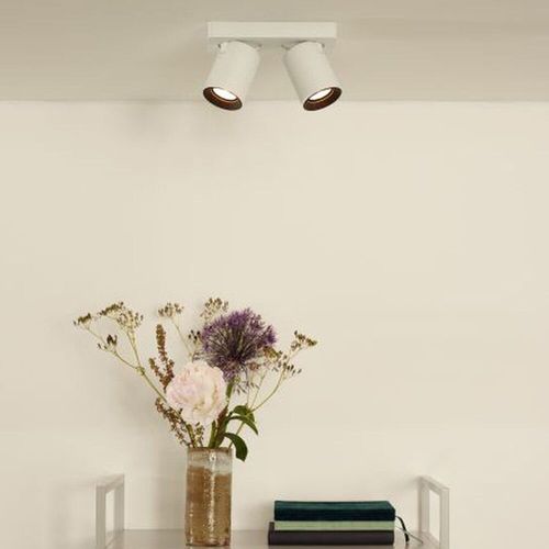 LED Deckenstrahler Nigel 2x5W...