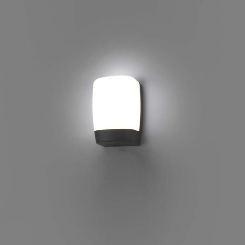 LED Außenwandleuchte Pol in...