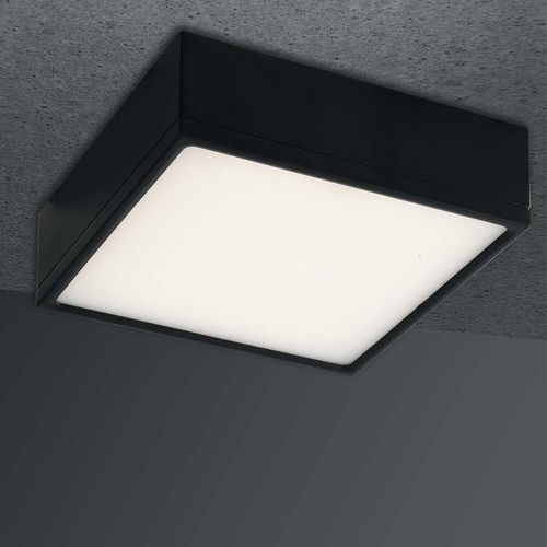 LED Deckenleuchte Klio in...