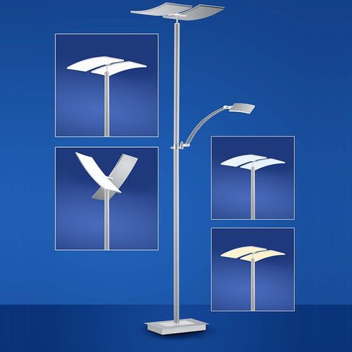LED Stehleuchte Duo in...