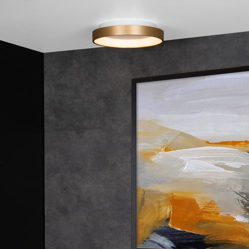 LED Deckenleuchte Vidal in...