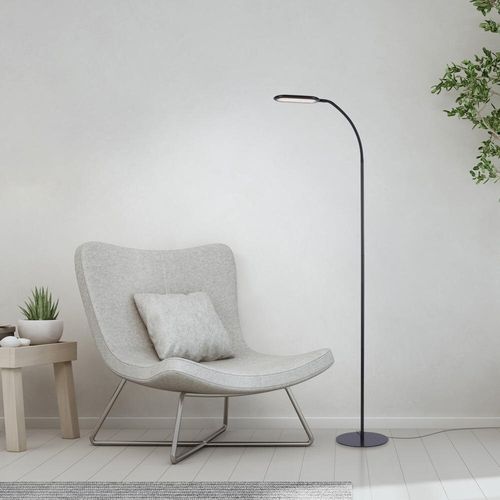 LED Stehleuchte Kelly in...