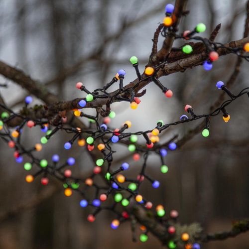 LED Lichterkette RGBW Berry...