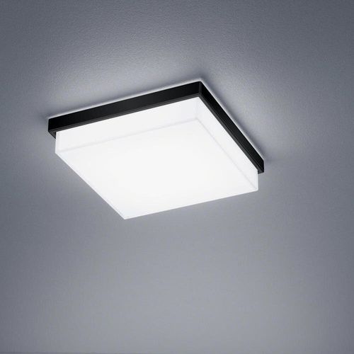 LED Deckenleuchte Cosi in...