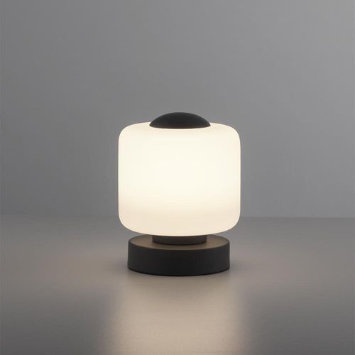 LED Tischleuchte Bota in...