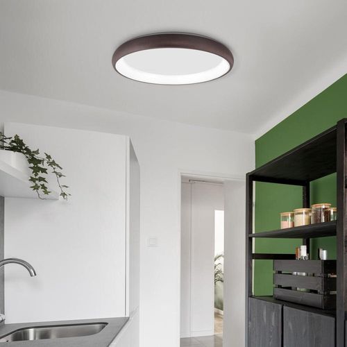 LED Deckenleuchte Albi in...