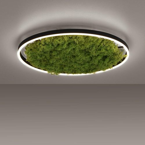 LED Deckenleuchte Green Ritus...