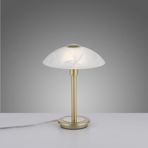 LED Tischleuchte Enova in...