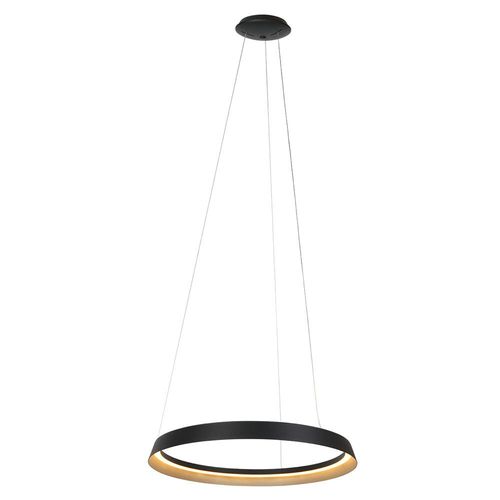 LED Pendelleuchte Ringlux in...