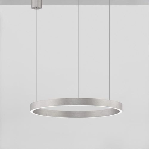 LED Pendelleuchte Elowen in...