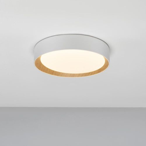 LED Deckenleuchte Stake in...