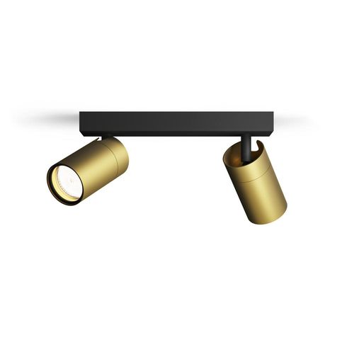 Deckenspot Idris in Gold und...