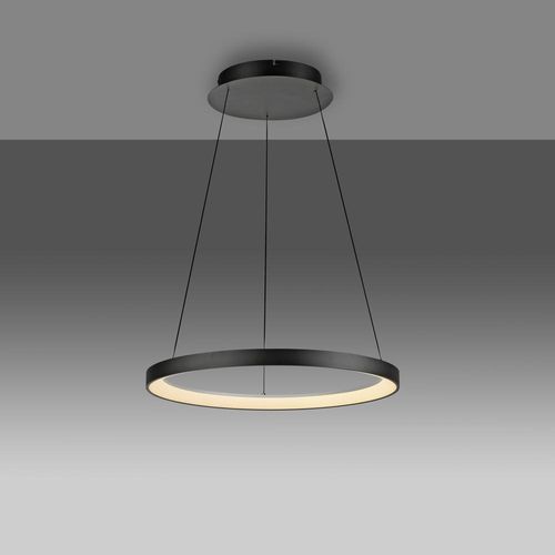 LED Pendelleuchte Hoop in...