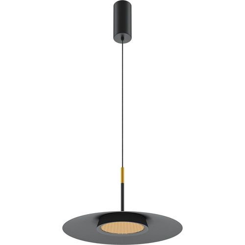 LED Pendelleuchte El in...